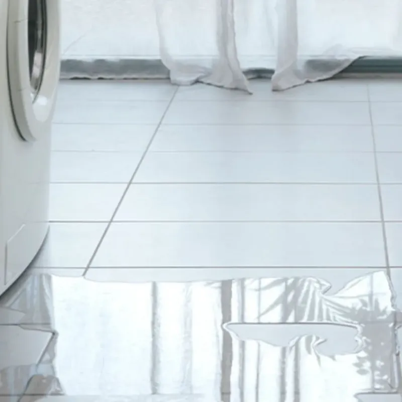 Appliance Leak Cleanup in Geneva-on-the-Lake, OH