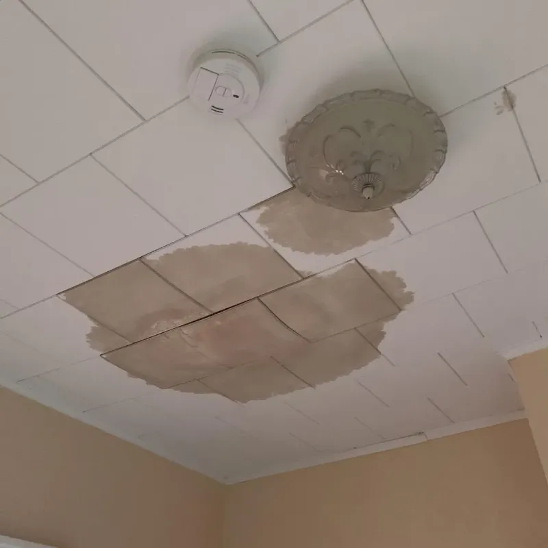 Ceiling Water Damage Repair in Geneva-on-the-Lake, OH