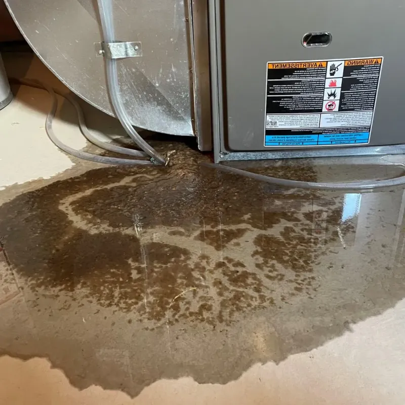 Pipe Burst and Leak Restoration in Geneva-on-the-Lake, OH