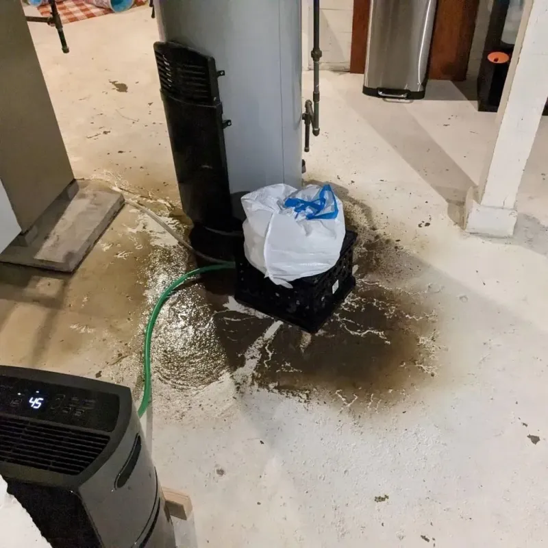 Sewage Backup Cleanup Service in Geneva-on-the-Lake, OH
